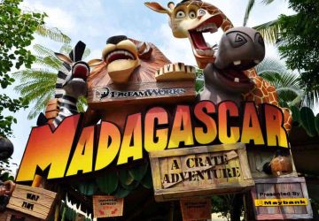 Khu rừng Madagascar