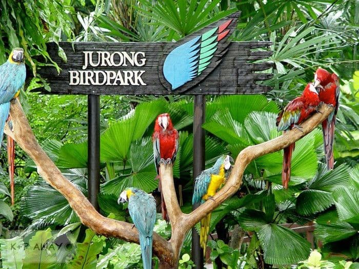 vườn chim Jurong