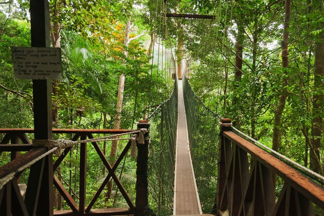 Vườn quốc gia Taman Negara Malaysia